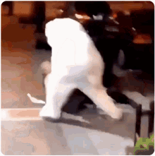 Punch Attack GIF - Punch Attack Drunk GIFs