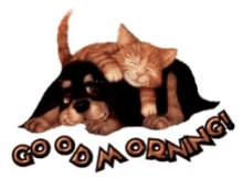 Good Morning Snuggle GIF - Good Morning Snuggle Dog GIFs