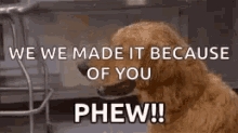 Phew Dogs GIF - Phew Dogs Sweaty GIFs