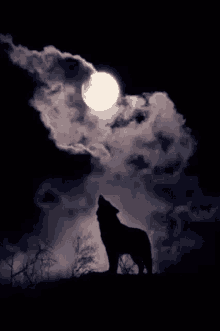 Full Moon Wolf GIF - Full Moon Wolf Clouds GIFs