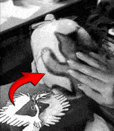 a black and white drawing of a bird with a red arrow pointing to the bird