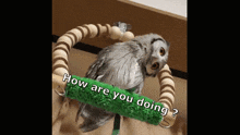 How Are You Doing Nilloc GIF - How Are You Doing Nilloc How Are You Doing GIFs