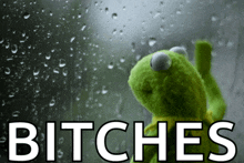 a kermit frog is looking out a window with the words bitches written below him