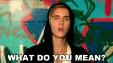 What Do You Mean Justin Bieber GIF - What Do You Mean Justin Bieber What Are You Saying GIFs