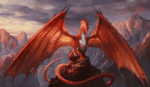 Dragonking GIF - Dragonking GIFs