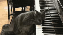GIF