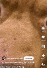 a close up of a dog 's face with the words raw feeding asmr #dog below it