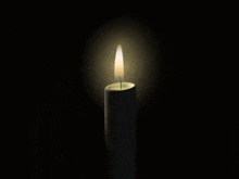 Milo Hann Whittaker Candle GIF - Milo Hann Whittaker Candle Prayer GIFs