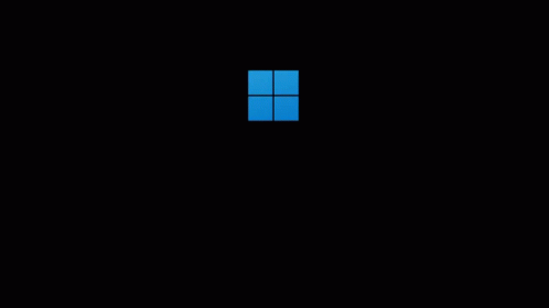 38 Windows11 Windows 11 Wallpaper Gif Hadza Property - vrogue.co