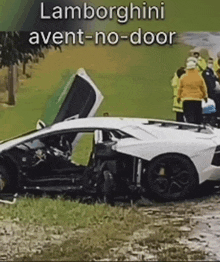 a white lamborghini avent-no-door is sitting on the grass