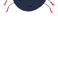 a drawing of a spider with many eyes