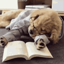Tired Doggy GIF - Tired Doggy GIFs