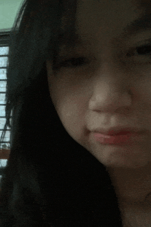 a close up of a woman 's face with a slight smile on her face
