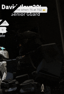 a screenshot of a video game that says ' davi me when ts at tsz senior guard ' on it