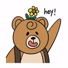 bear animal teddy hello hey
