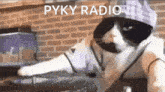 Pyky Radio Discod GIF