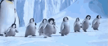 Happy Feet GIF - Happy Feet Baby Penguins Dance GIFs