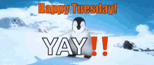 Happy Tuesday Happy Feet GIF - Happy Tuesday Happy Feet Penguin GIFs