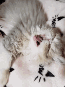 Sleepy Tired GIF - Sleepy Tired Yawn GIFs
