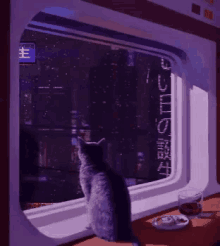 Cat Window GIF - Cat Window Raining GIFs