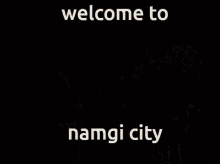 namgi welcome to namgi city city bts