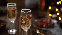 Champagne Bubbles GIF - Champagne Bubbles GIFs