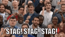 Stag GIF