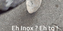 Inox Inoxtag GIF - Inox Inoxtag Michou GIFs