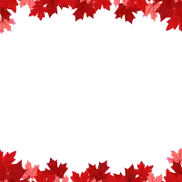 the word canada day is surrounded by red maple leaves on a white background