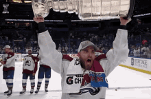 Colorado Avalanche Avalanche GIF - Colorado Avalanche Avalanche Stanley Cup GIFs
