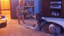 Deep Conversations GIF - Husky Dog Baby GIFs