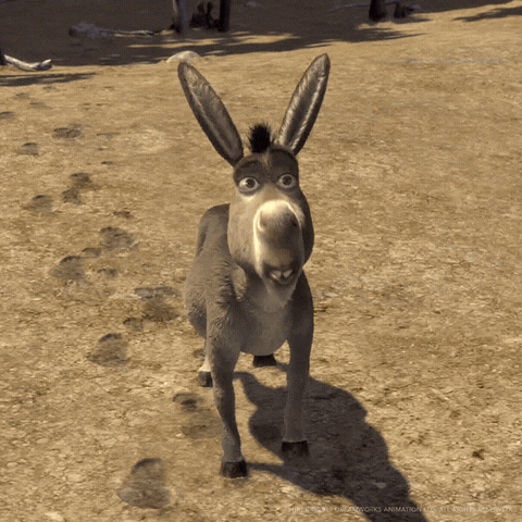 Burro Do Shrek GIF