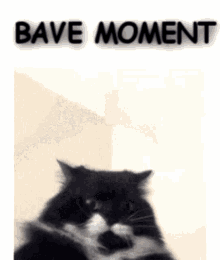 Bave Bave Moment GIF - Bave Bave Moment Moment GIFs
