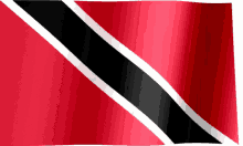 Trini Trinidad GIF - Trini Trinidad Trinidad And Tobago GIFs