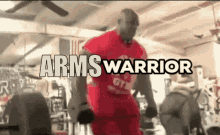 Armswarrior Warriorwow GIF