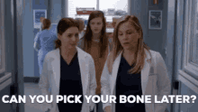 Greys Anatomy Amelia Shepherd GIF - Greys Anatomy Amelia Shepherd Can You Pick Your Bone Later GIFs