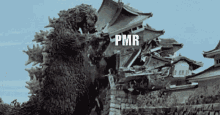 Pmr Monster Target GIF