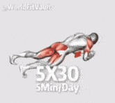 a drawing of a man doing push ups with the words 5x30 5min / day below him