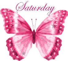 Saturday Sparkle GIF - Saturday Sparkle Pink GIFs