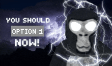 a picture of a gorilla with lightning and the words " you should option 1 now " below it