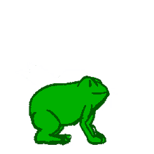 frog cute toad hop jonlutherdavid
