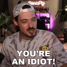 Youre An Idiot Aaron Brown GIF - Youre An Idiot Aaron Brown Bionicpig GIFs