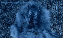 van helsing werewolf stigma pack angry