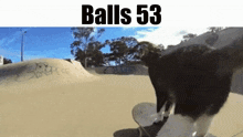 Balls Balls 53 GIF - Balls Balls 53 Cat GIFs