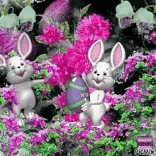 happy easter sunday rabbit pascuas felices