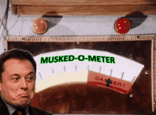 Musked Tslaq GIF - Musked Tslaq Elon Musk GIFs