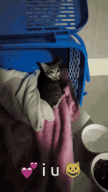 a kitten in a blue carrier with the word iu on the bottom right