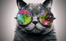 Cat Swag GIF - Cat Swag Galaxy GIFs