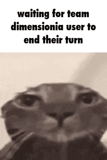 a close up of a cat 's face with the words `` waiting for team dimensiona user to end their turn '' .