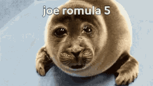 Joe Romula Joe Romula5 GIF